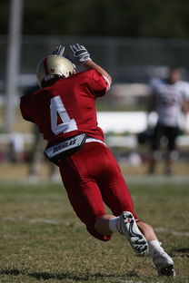 九游体育app下载-CBA赛季转会期开放多支球队进行大规模阵容调整，cba转会动态2021